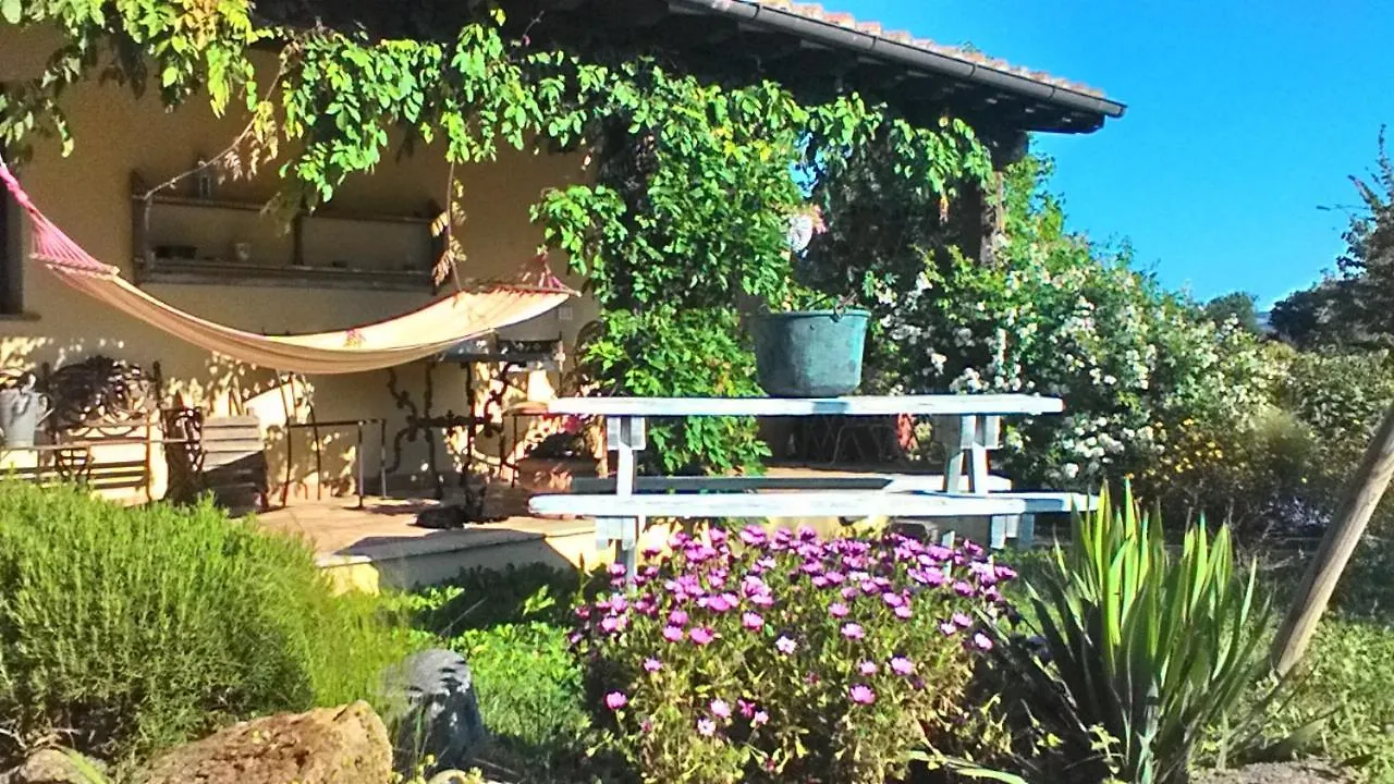 Il Mandorlino Pitigliano Appartamento In Tipico Casale Maremmano Con Portico E Giardino contacts
