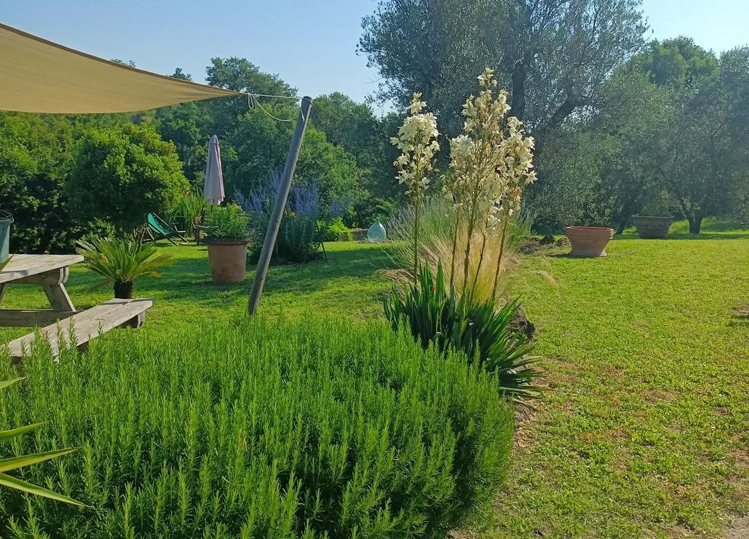 Il Mandorlino Pitigliano Appartamento In Tipico Casale Maremmano Con Portico E Giardino 0*,  Italy