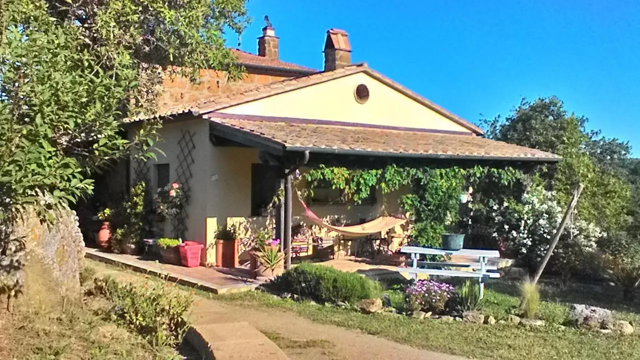 Il Mandorlino Pitigliano Appartamento In Tipico Casale Maremmano Con Portico E Giardino Daire